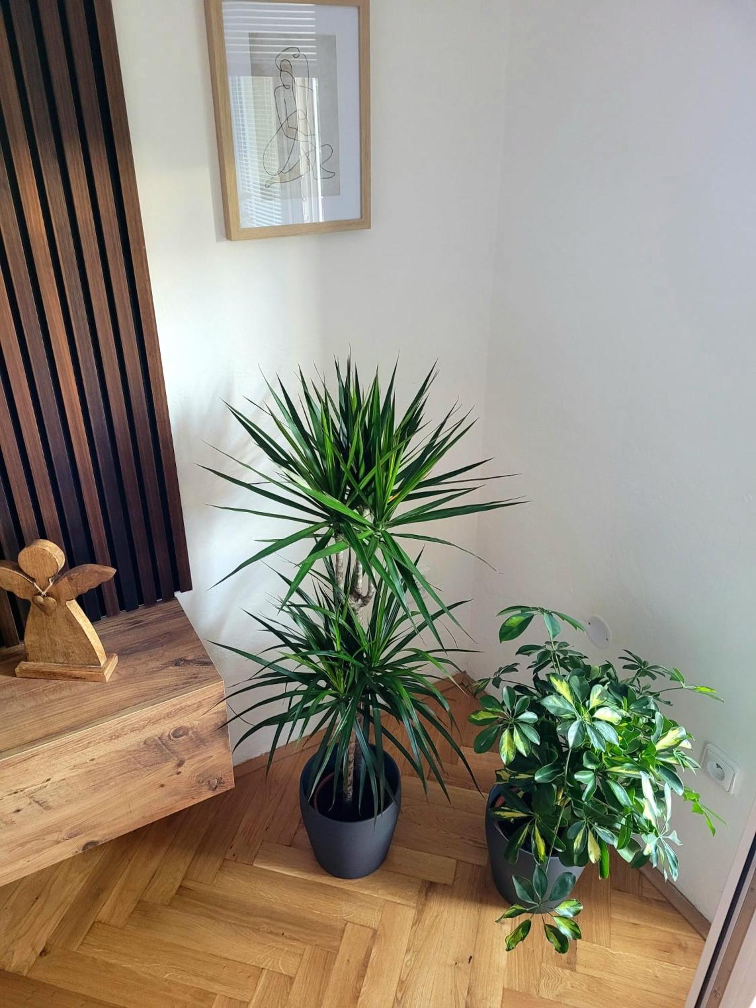 Novy Apartman Eva Jicin Exterior foto
