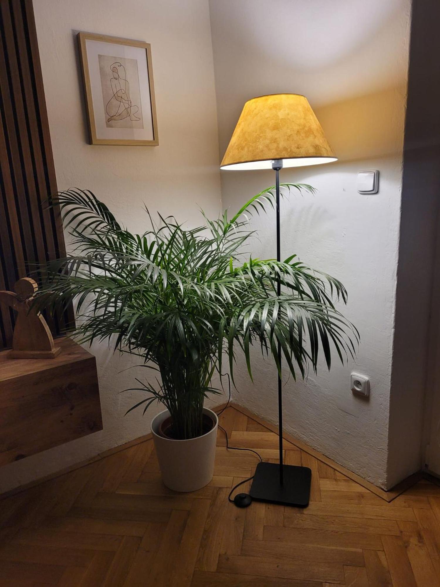 Novy Apartman Eva Jicin Exterior foto