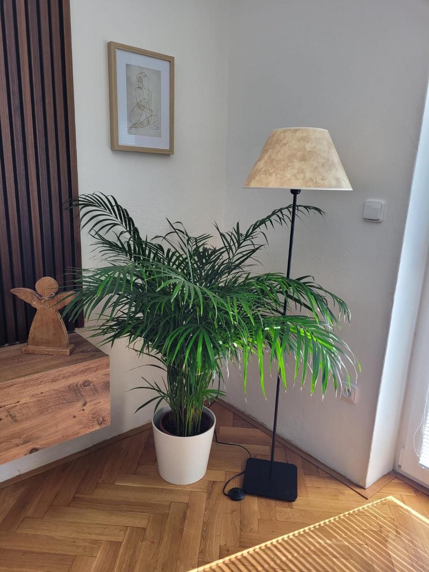Novy Apartman Eva Jicin Exterior foto
